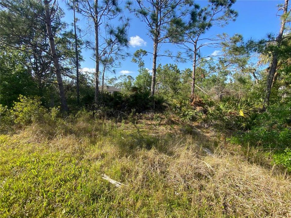 Recently Sold: $18,500 (0.34 acres)