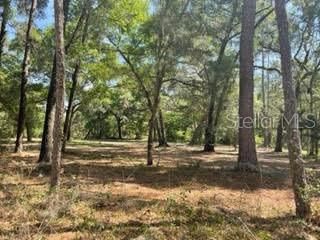 Recently Sold: $80,000 (1.00 acres)