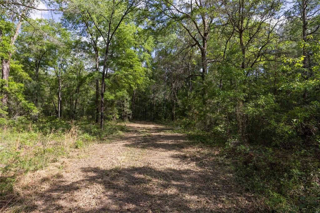 For Sale: $260,000 (8.02 acres)