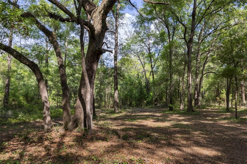 For Sale: $250,000 (8.02 acres)