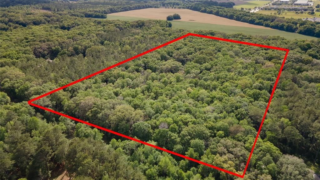 For Sale: $250,000 (8.02 acres)