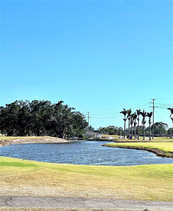 View of Pond off of the 4th Tee