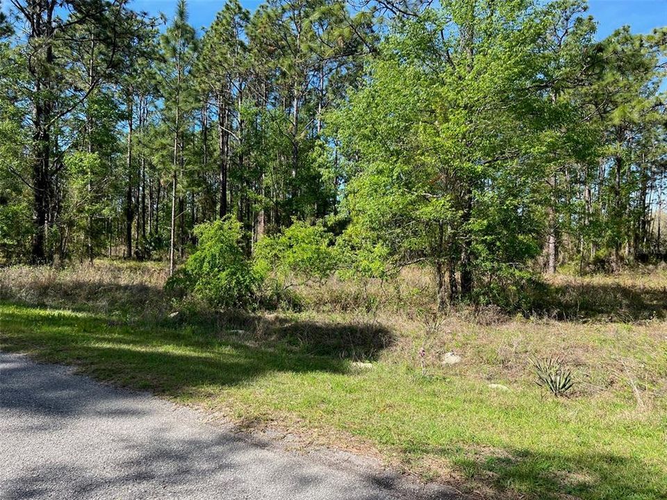 Recently Sold: $24,000 (1.01 acres)
