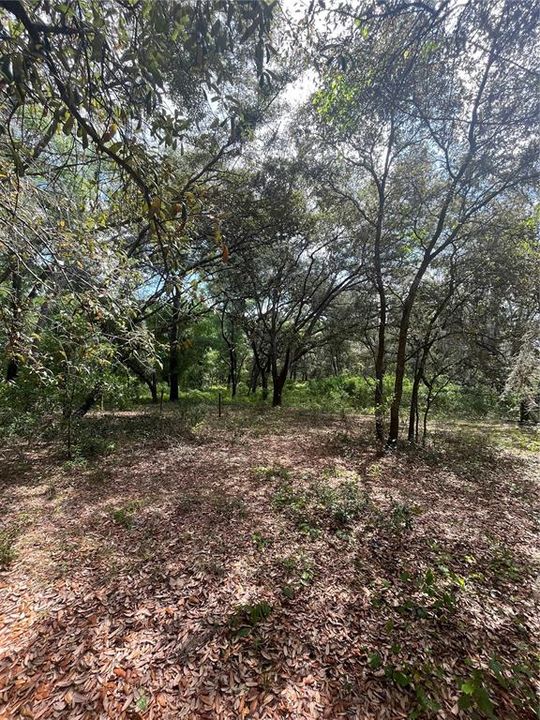 Vendido Recientemente: $125,000 (9.13 acres)