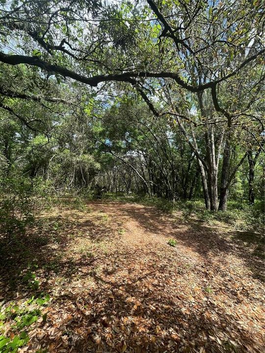 Vendido Recientemente: $125,000 (9.13 acres)