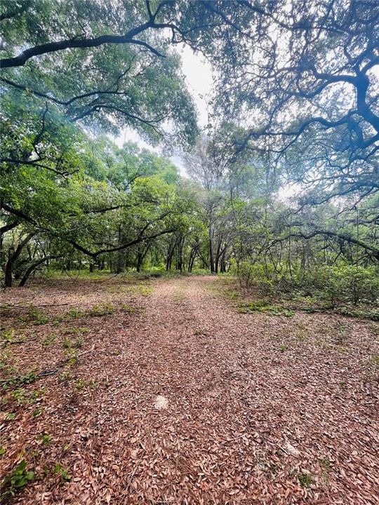 Недавно продано: $125,000 (9.13 acres)