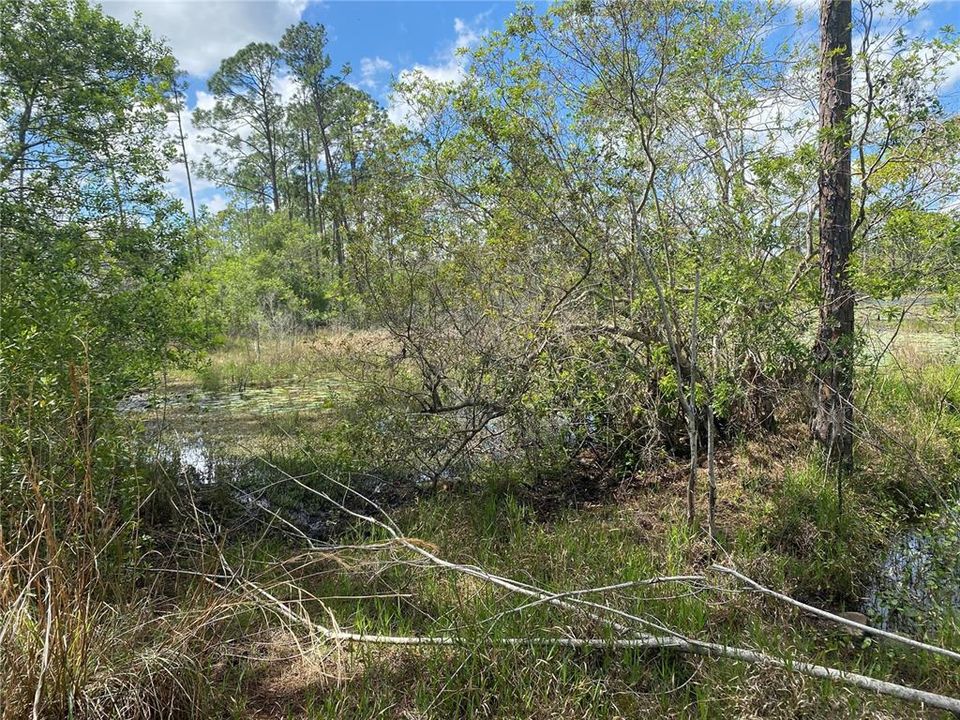 Active With Contract: $160,000 (0.84 acres)