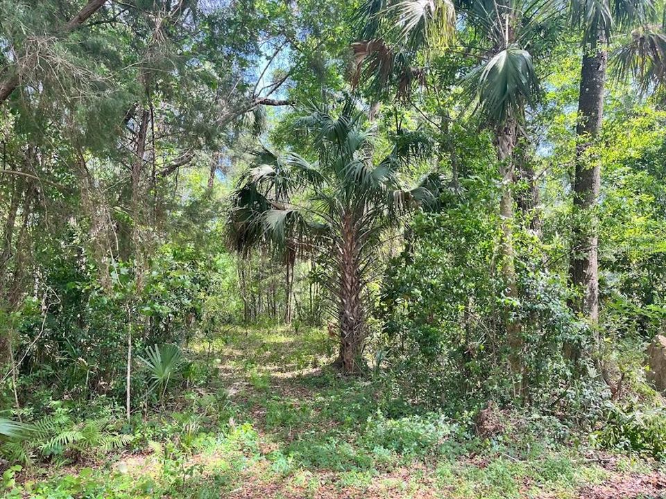 Recently Sold: $12,000 (0.42 acres)