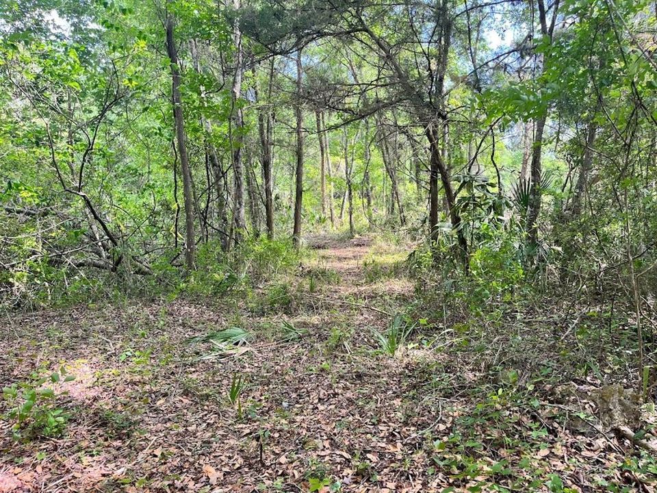 Recently Sold: $12,000 (0.42 acres)