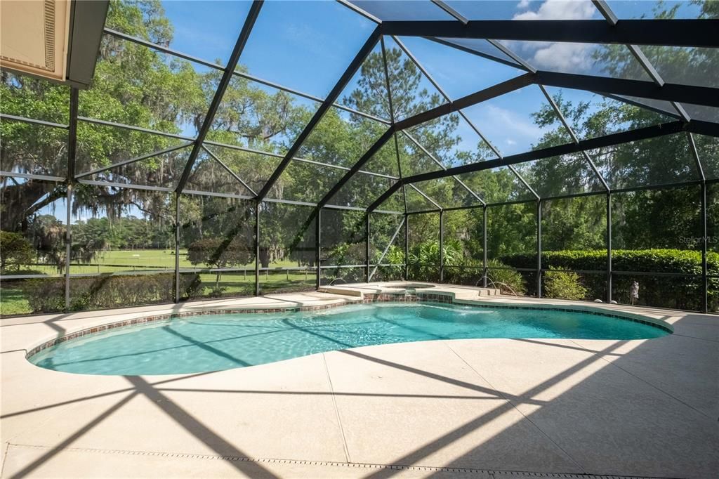 Pool and spa view from living room entrance