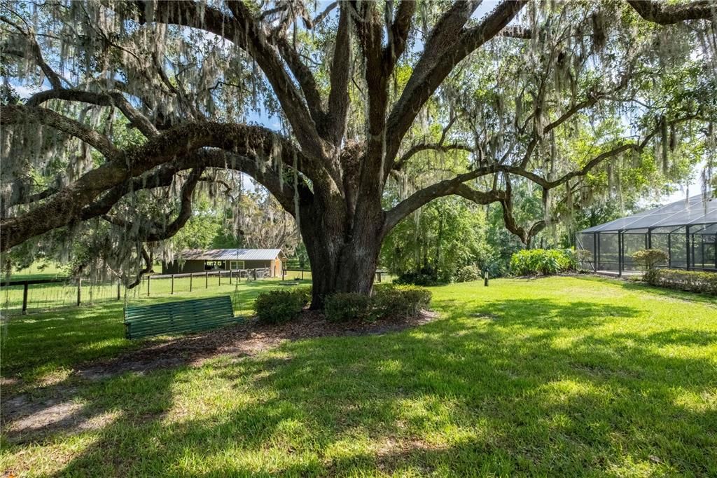 Another view from back yard looking toward the back pasture and studio/workshop