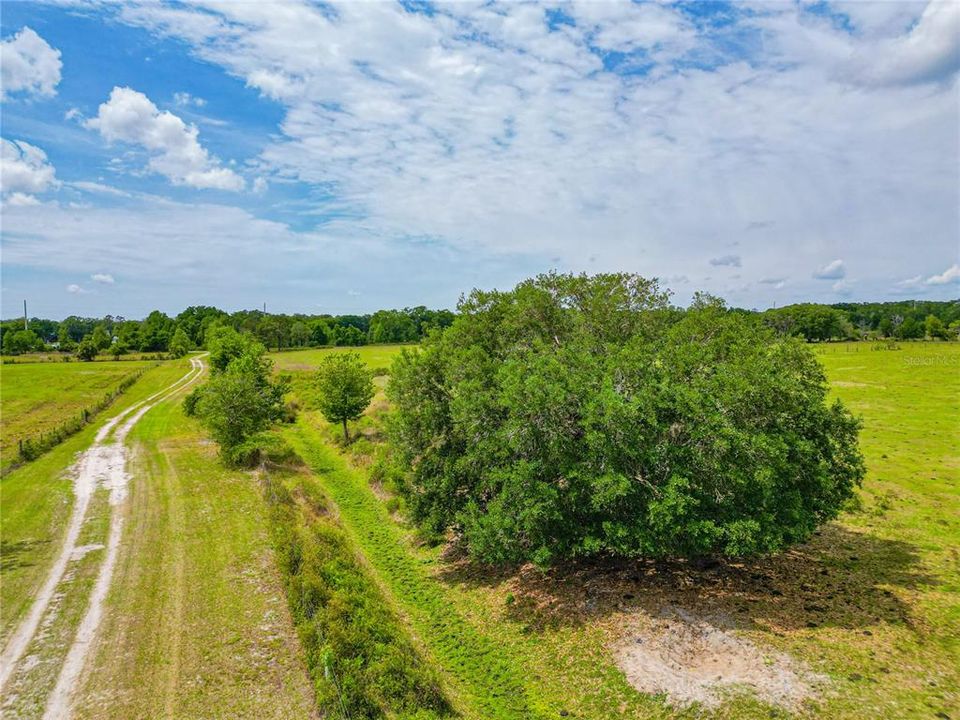 For Sale: $1,479,000 (51.64 acres)