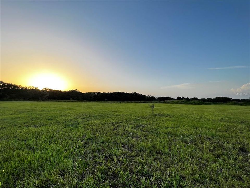 Active With Contract: $1,350,000 (65.29 acres)