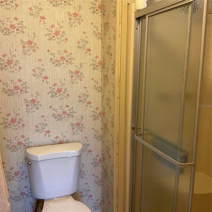 Separate shower stall in master bathroom