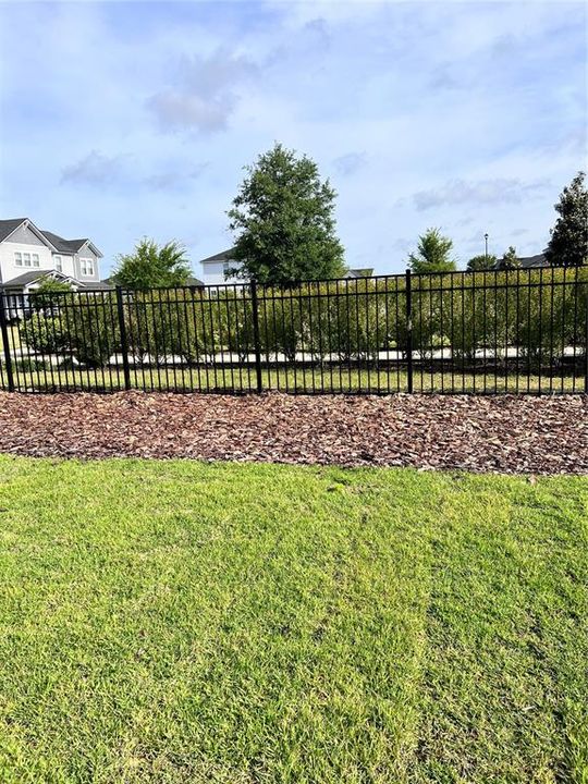 Fenced Back Yard