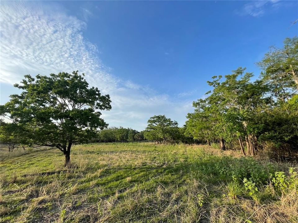 Recently Sold: $130,000 (10.92 acres)