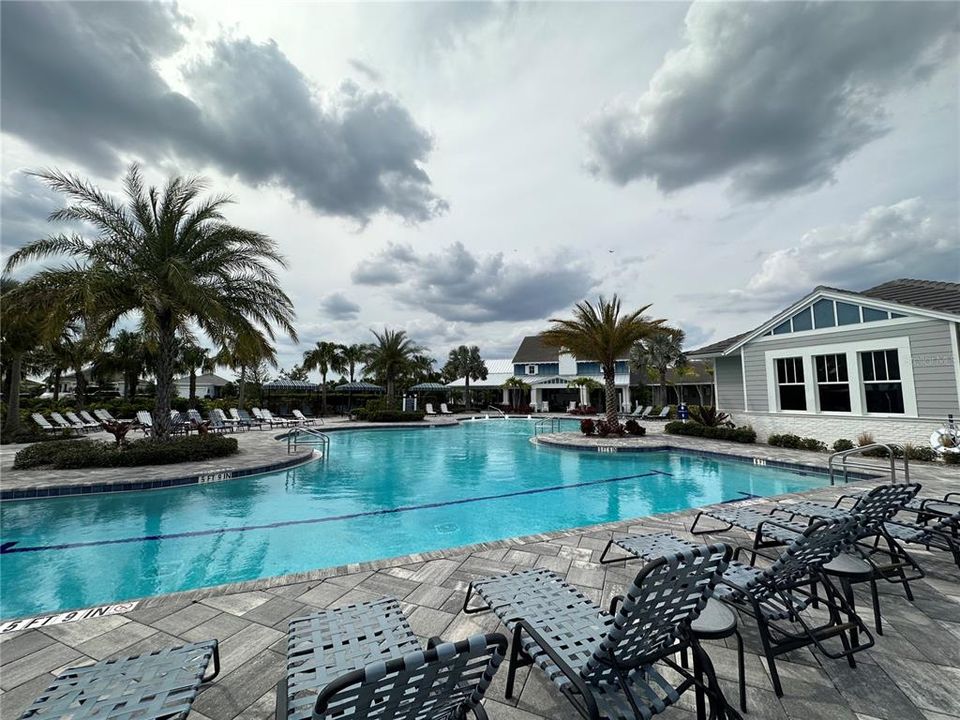 Amenity Center: Resort-Style Pool/Lap Pool