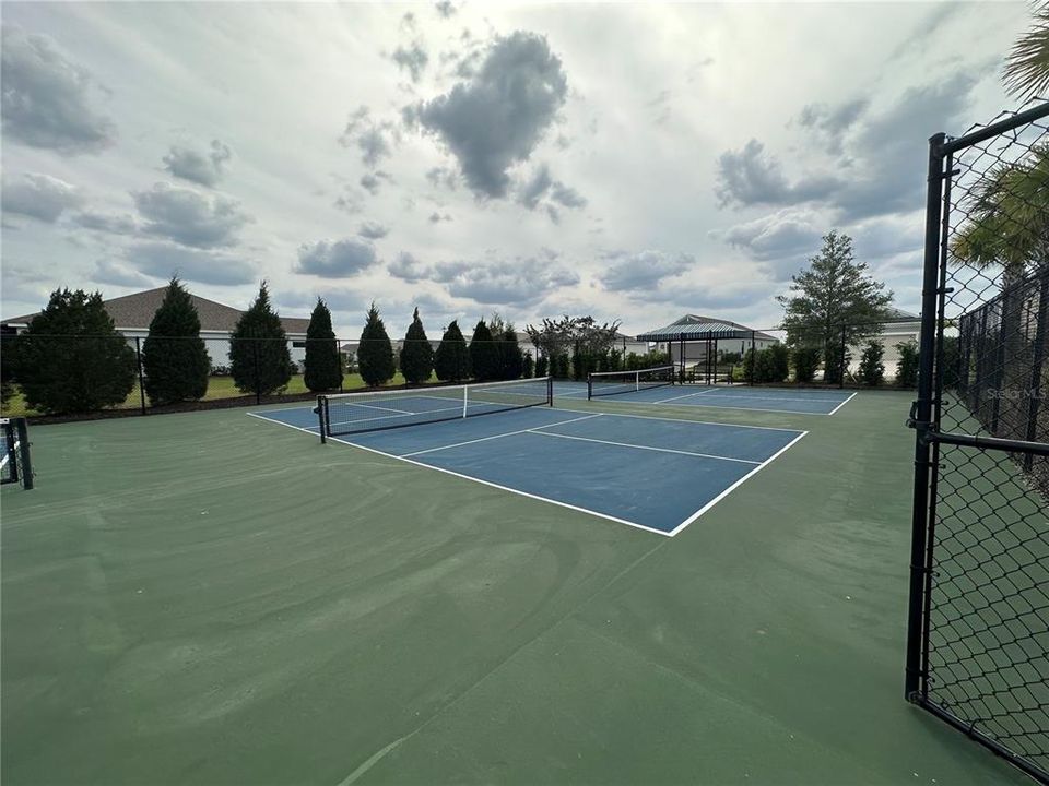 Amenity Center: Pickleball Courts