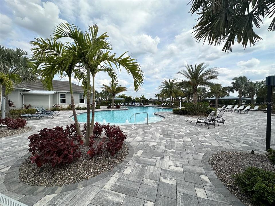 Amenity Center: Resort-Style Pool