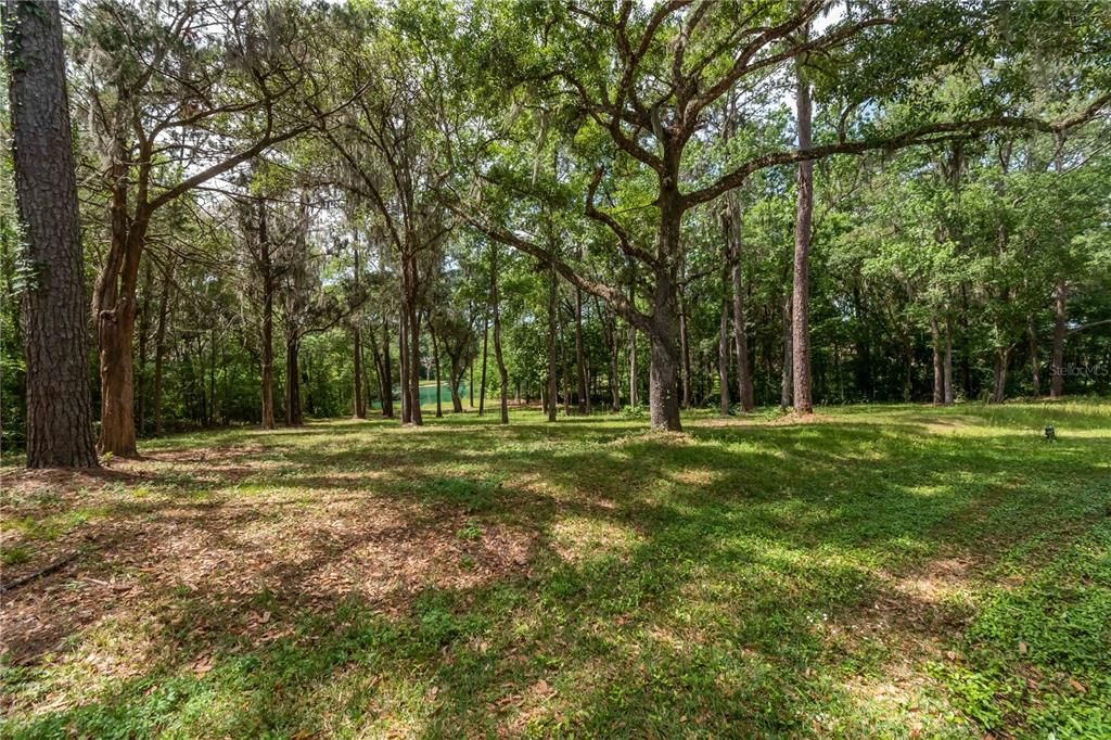 For Sale: $325,000 (1.74 acres)