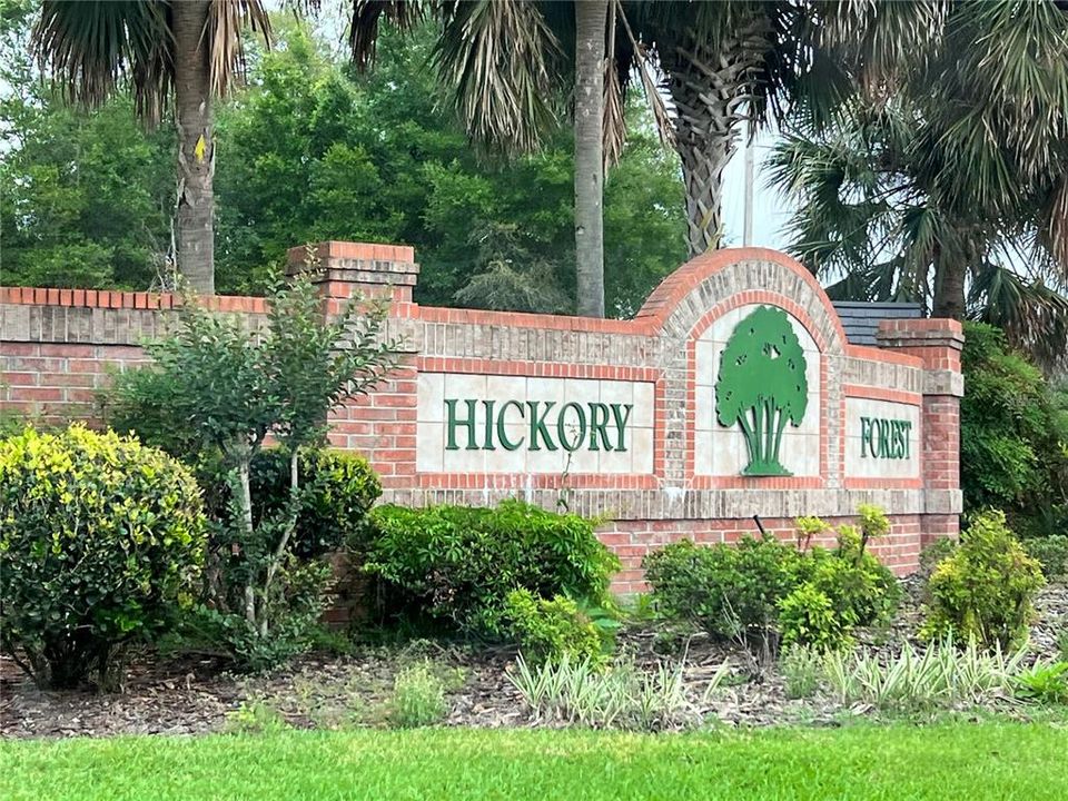 Hickory Forest