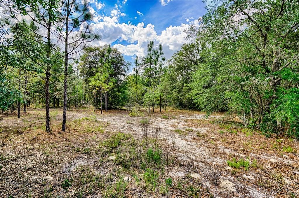 Recently Sold: $49,000 (2.09 acres)