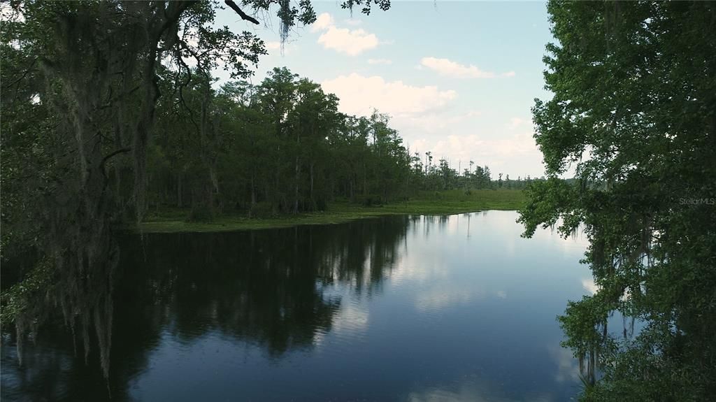 Oklawaha River