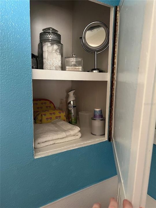 Cabinet in guest bath
