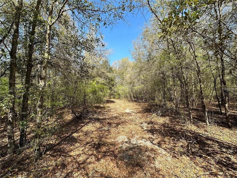 Recently Sold: $227,500 (43.90 acres)