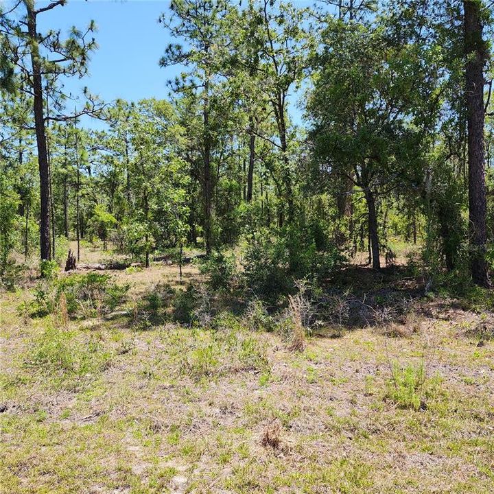 Recently Sold: $38,995 (2.00 acres)