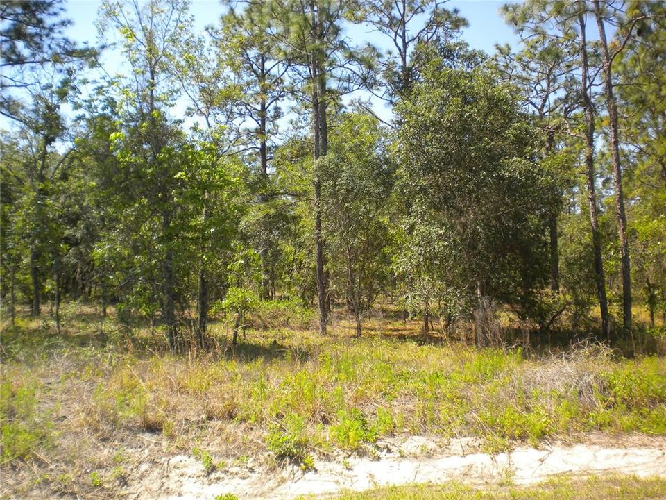 Recently Sold: $38,995 (2.00 acres)