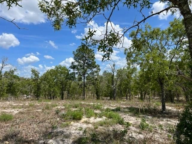 Recently Sold: $69,000 (5.00 acres)