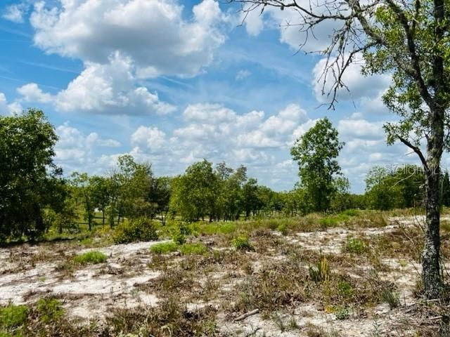 Recently Sold: $69,000 (5.00 acres)