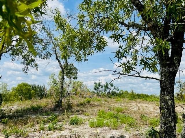 Recently Sold: $69,000 (5.00 acres)