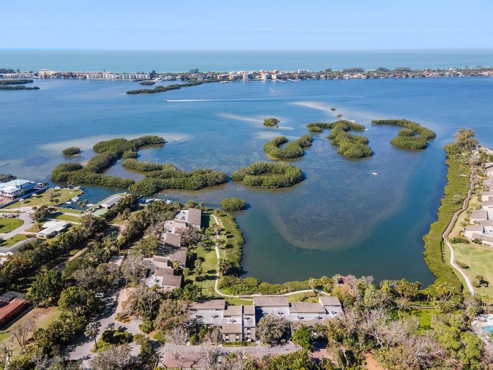 Aerial View of condo