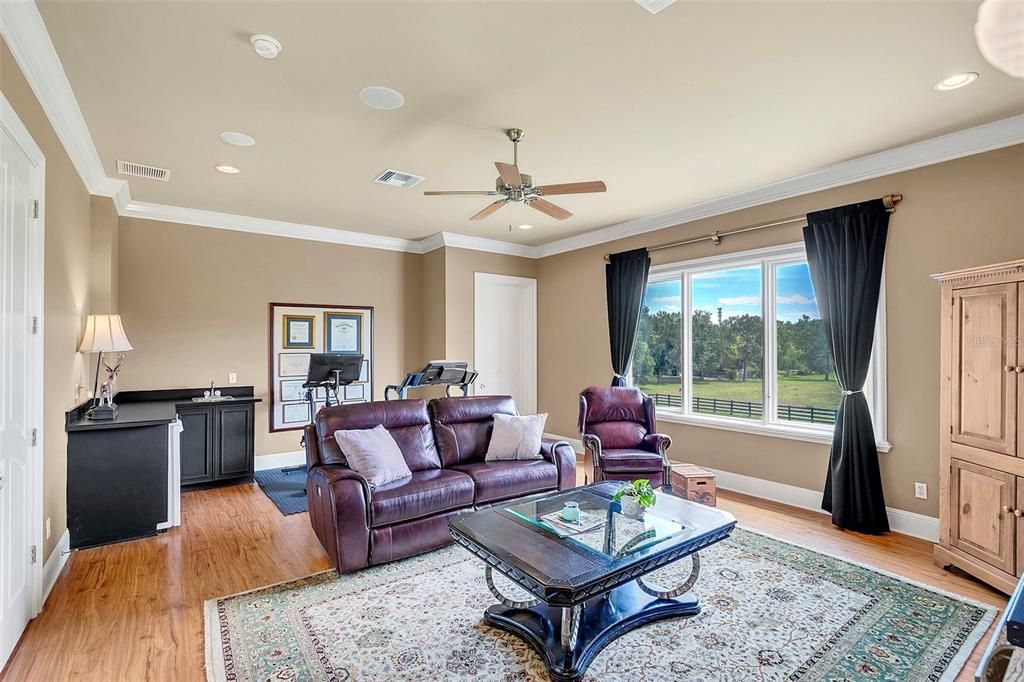 Upstairs bonus room- wet bar with mini fridge & AV/storage room