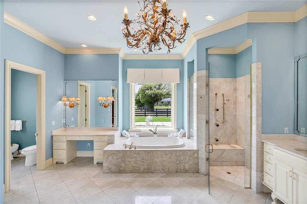 Master bathroom- large soaking tub, separate make-up vanity, & private water closet