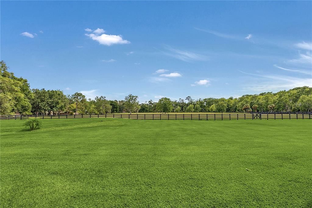 Sprawling green pastures as far as the eye can see