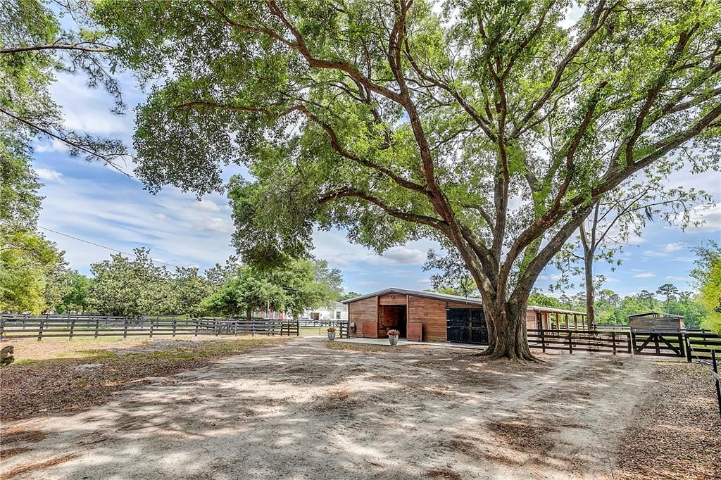 Separate drive for deliveries leads to shady trailer parking and barn access