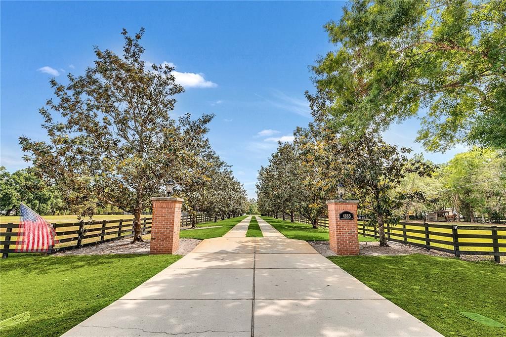 Main entrance- Magnolia-lined driveway