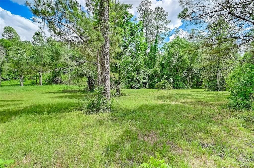 For Sale: $219,000 (10.00 acres)