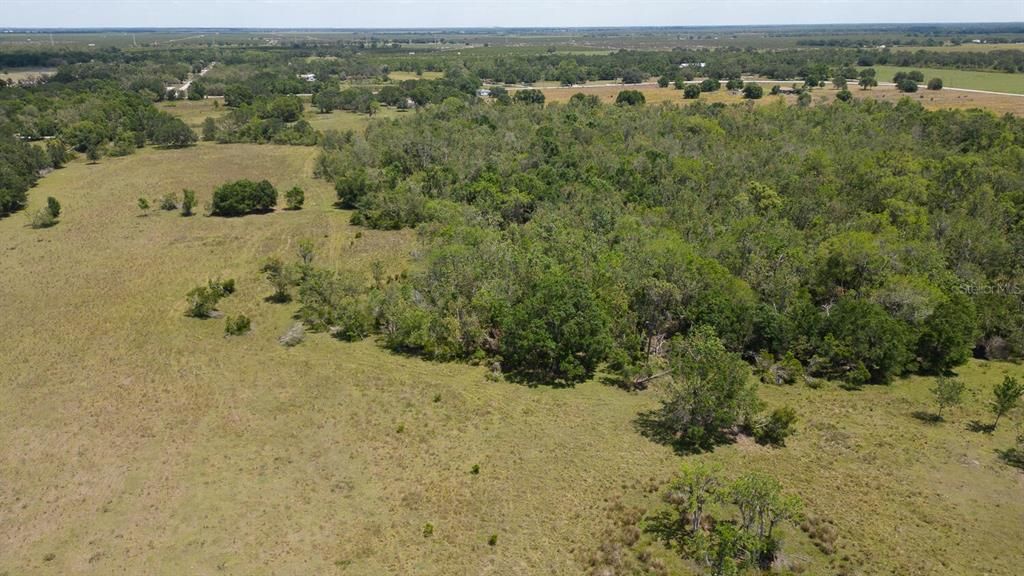 Active With Contract: $599,000 (38.09 acres)