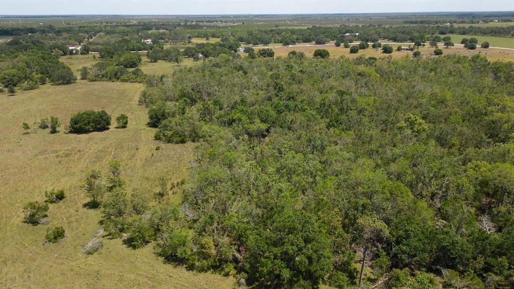 Active With Contract: $599,000 (38.09 acres)