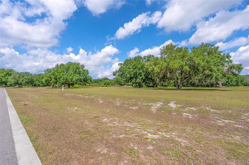 Recently Sold: $169,000 (1.90 acres)
