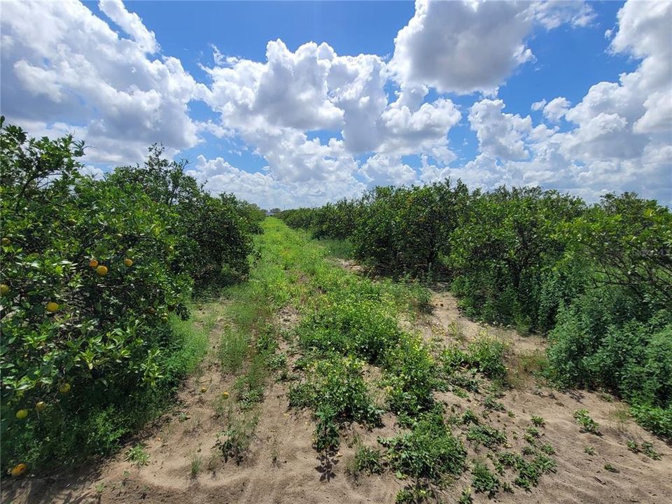 Recently Sold: $195,000 (9.77 acres)
