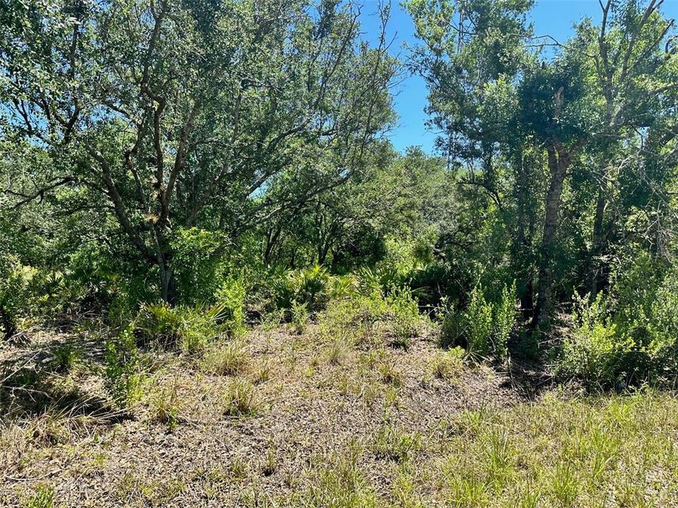 Vendido Recientemente: $49,000 (1.44 acres)