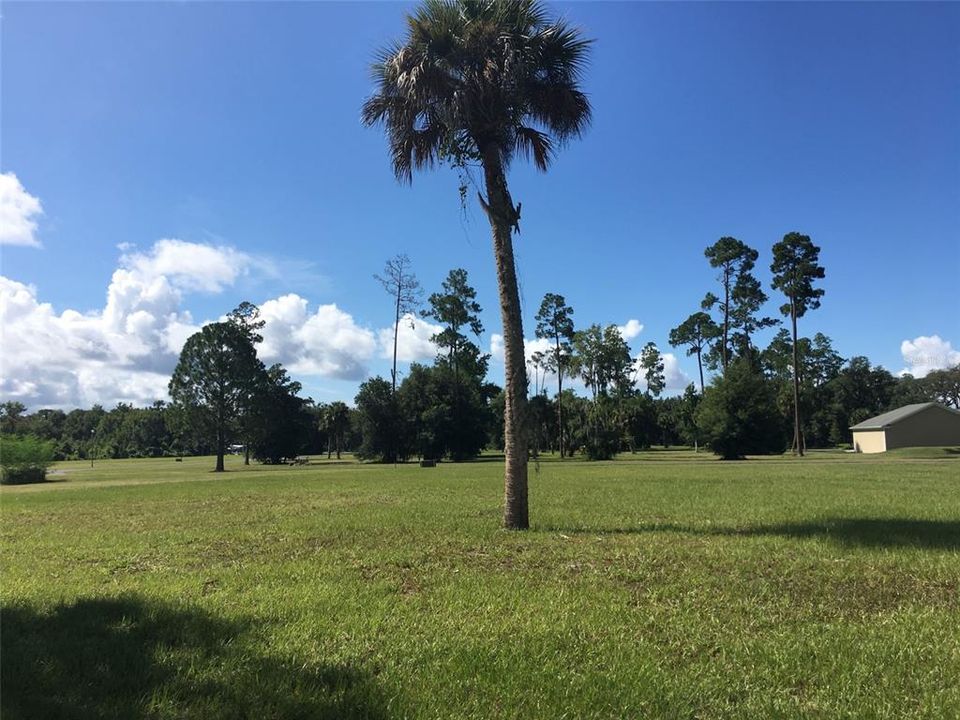 View from back of lot towards taxi way and runway