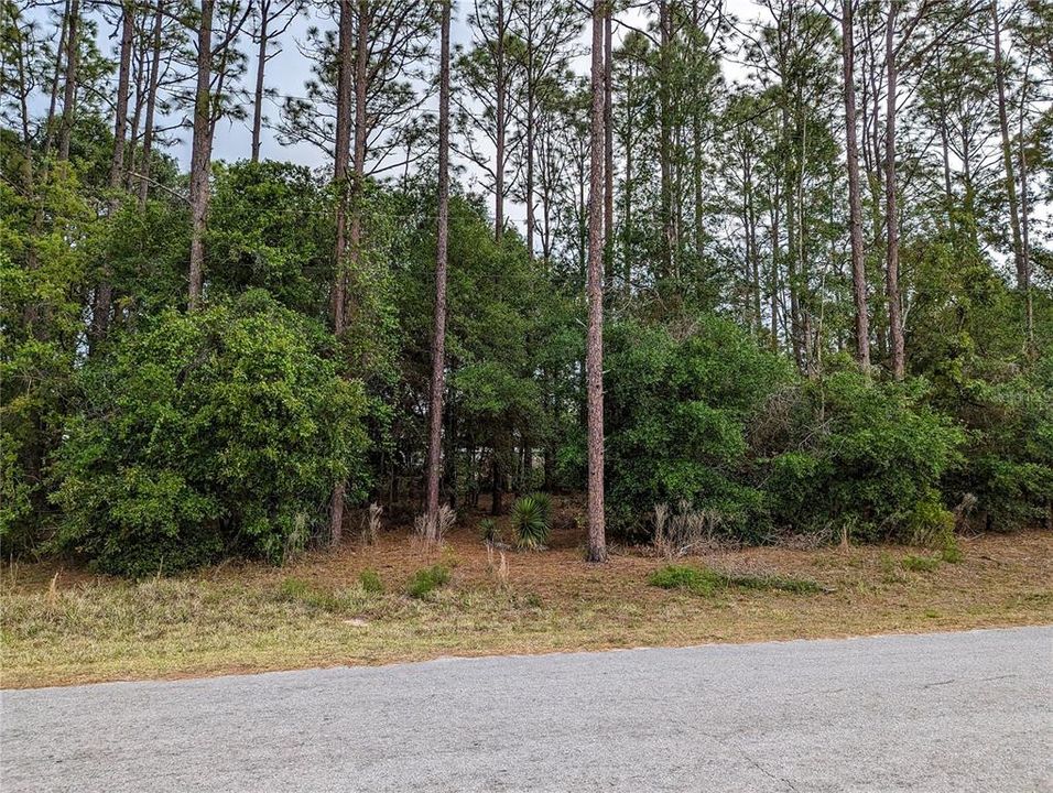 Recently Sold: $50,000 (0.39 acres)