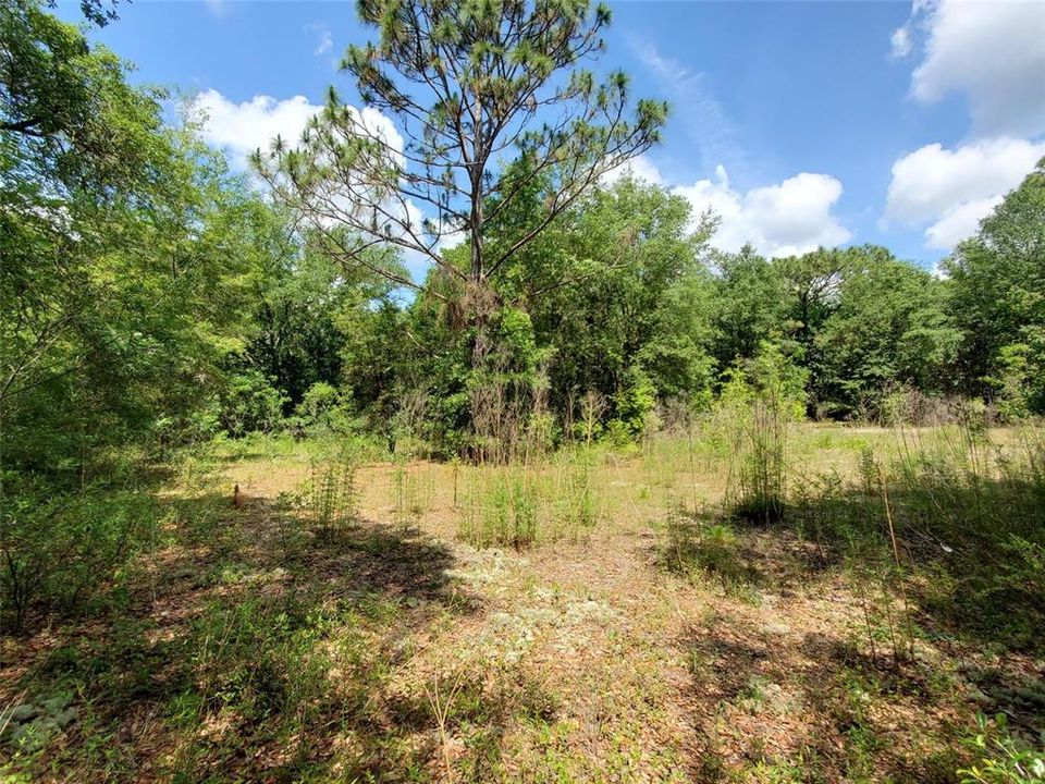 Active With Contract: $110,000 (10.00 acres)