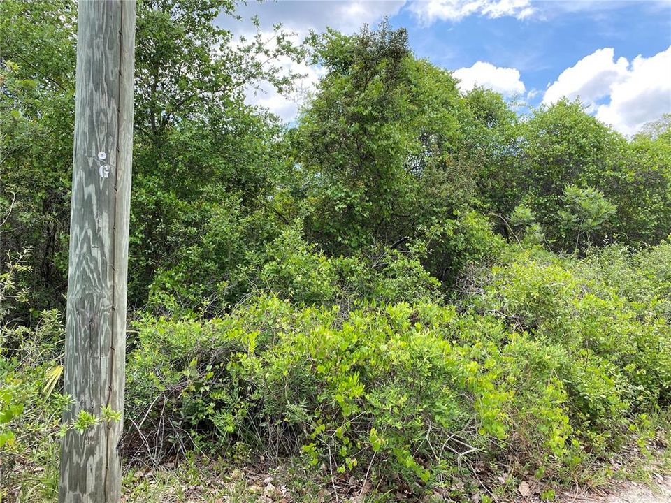 Recently Sold: $50,000 (0.27 acres)